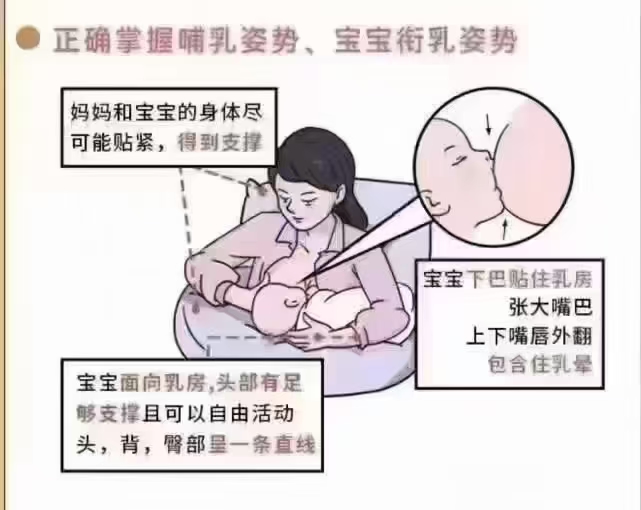 💝专业催乳/回乳💝